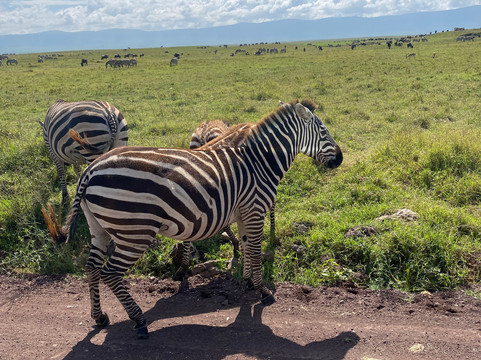 AstazTravel-桑给巴尔市必去景点