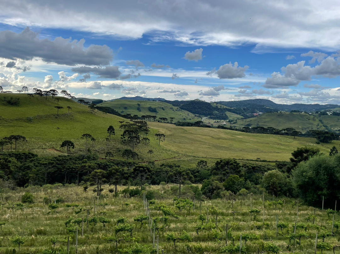 Villa Francioni-Sao Joaquim必去景点
