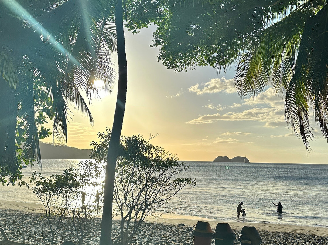 Villas Sol Beach Resort主图