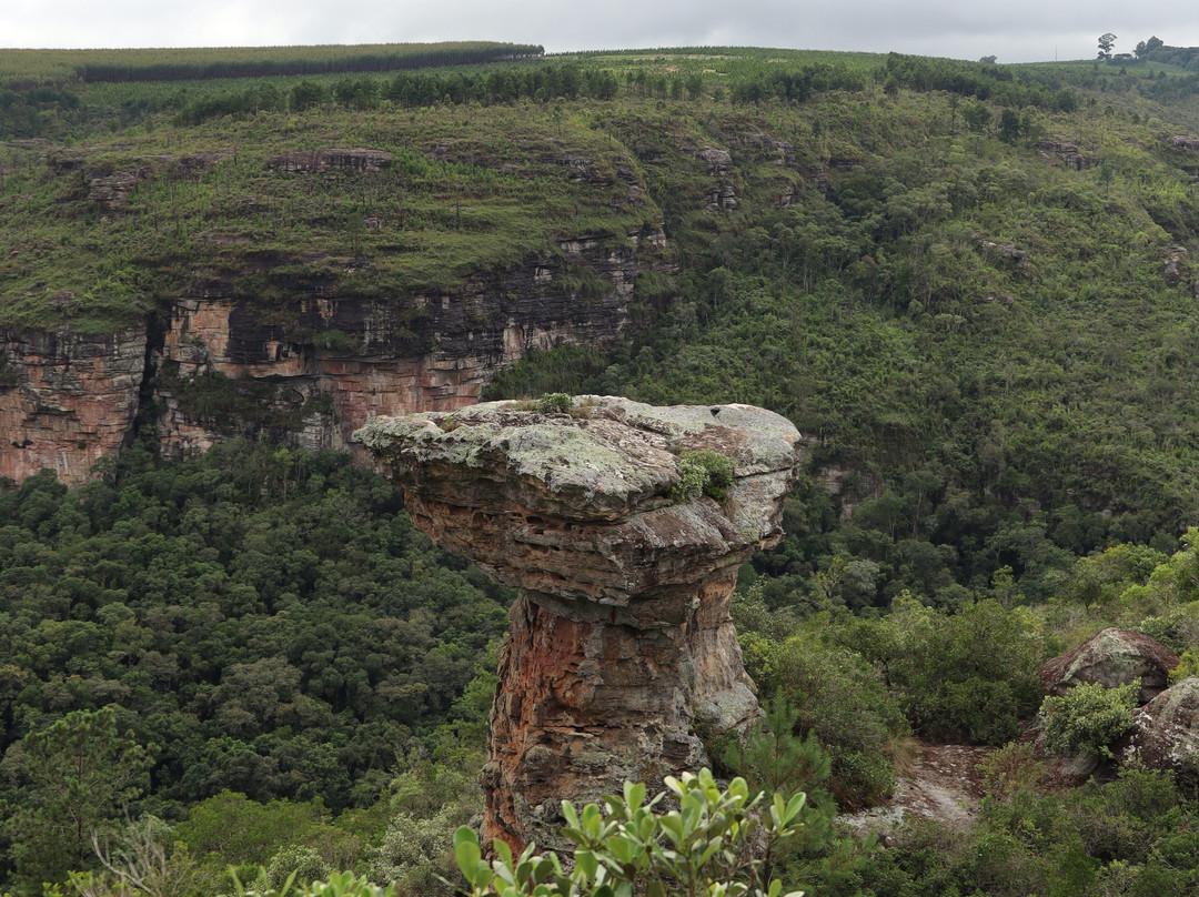 Bravo Aventuras 4x4-Jaguariaiva必去景点