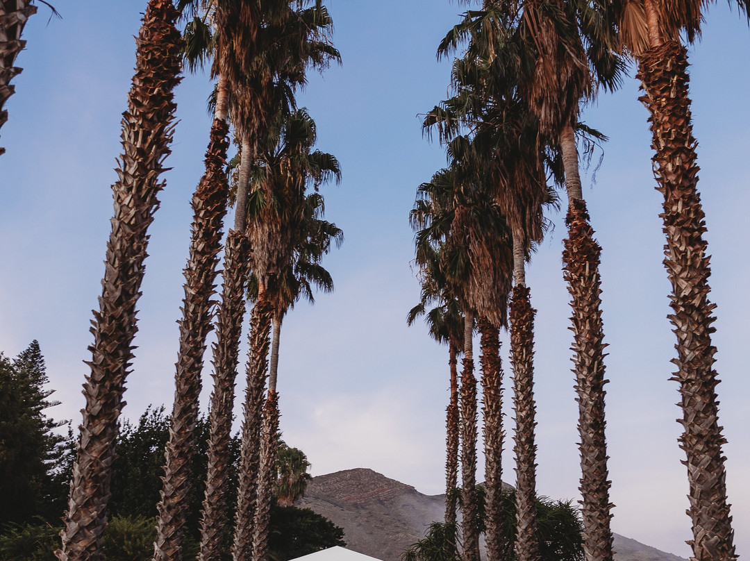 Van Loveren Family Cellar-Robertson必去景点