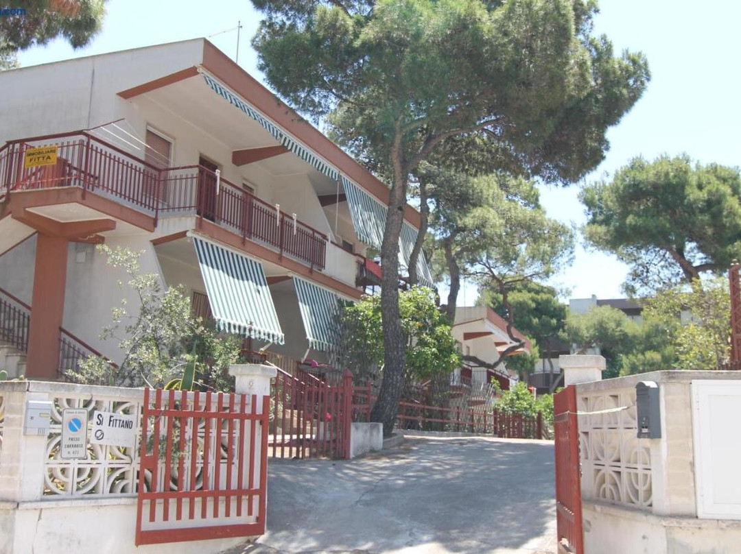 Sea Cottage in Pinewood