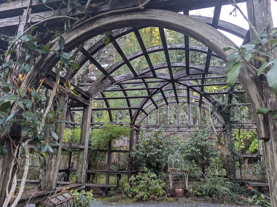 Western Hills Garden景点图片