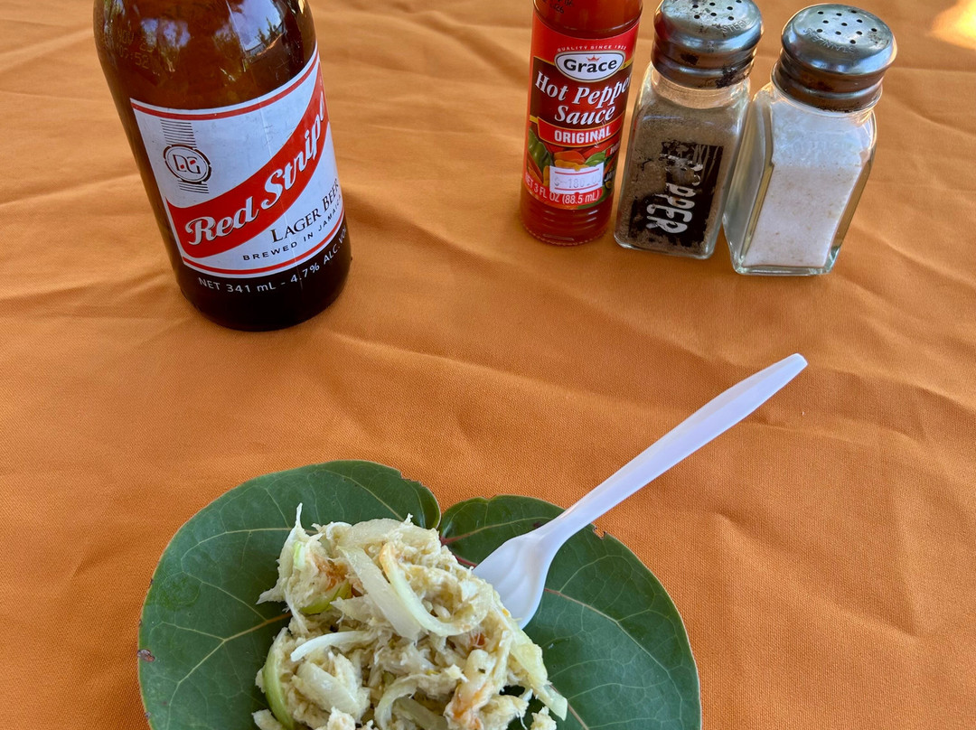 Captain Joseph Treasure Beach Adventures-瑰宝滩必去景点