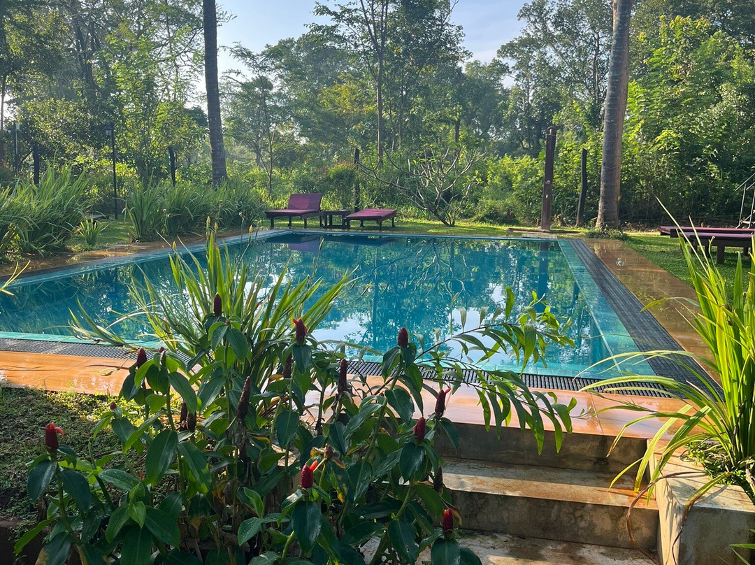 The Cottage Sigiriya主图