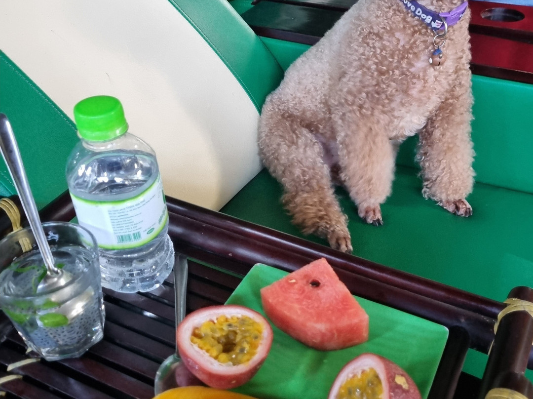 Heaven Garden Spa-会安必去景点