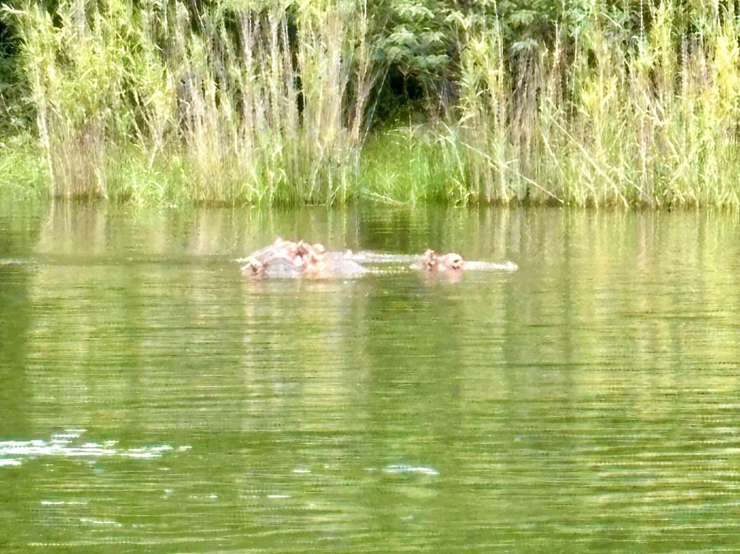 Blyde River Canyon-德尔斯特鲁姆必去景点