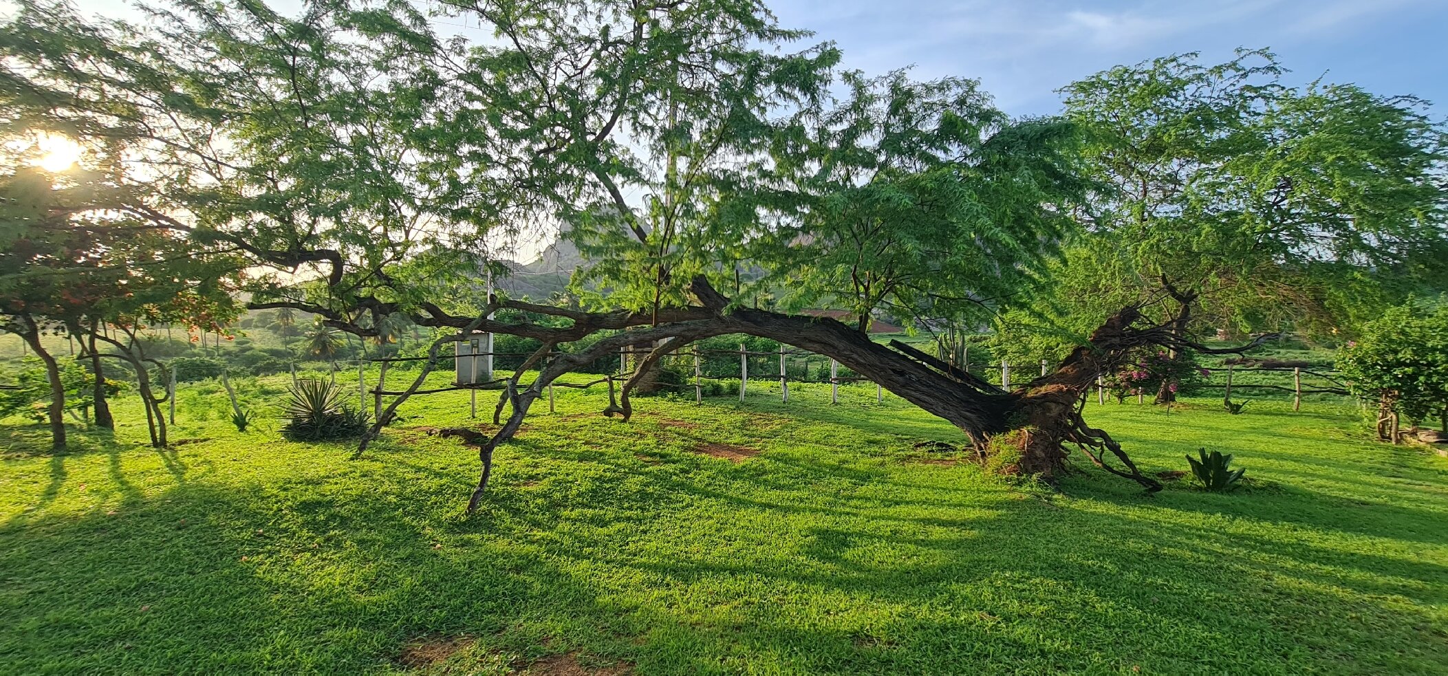 Pousada Fulo da Pedra-官方