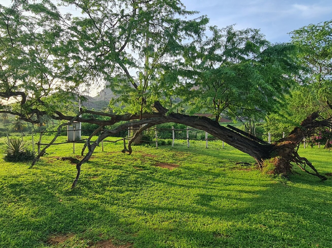 Pousada Fulo da Pedra主图