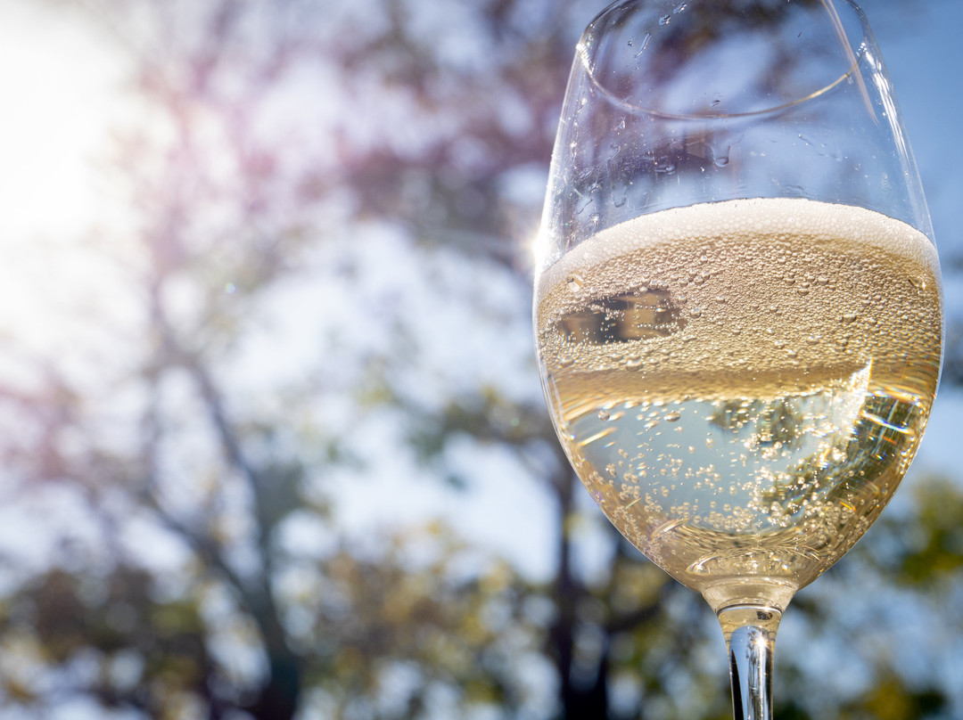 Adam Puchta Winery-赫曼必去景点