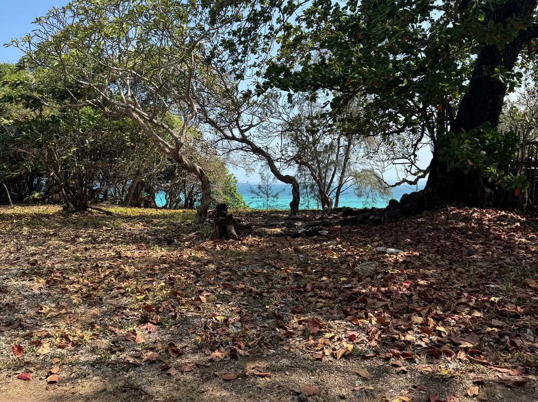 Hansver tours-桑给巴尔市必去景点