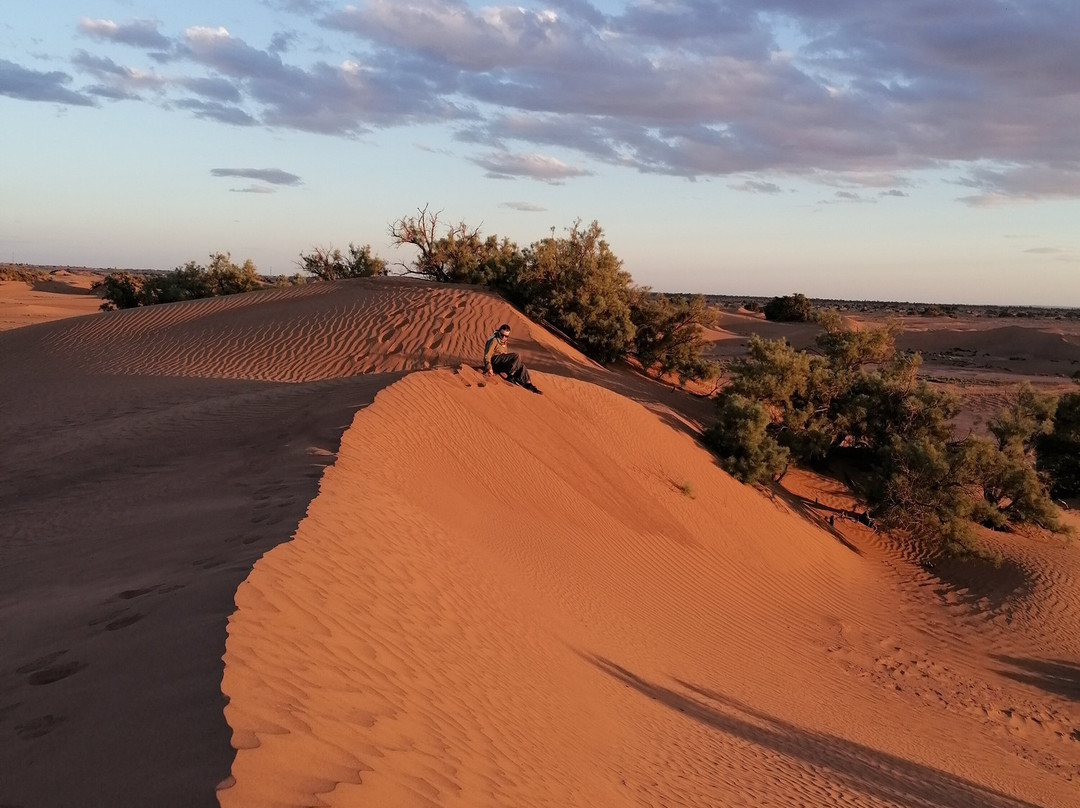 Camp Sahara at Dar Al Fananna-迈哈米德必去景点