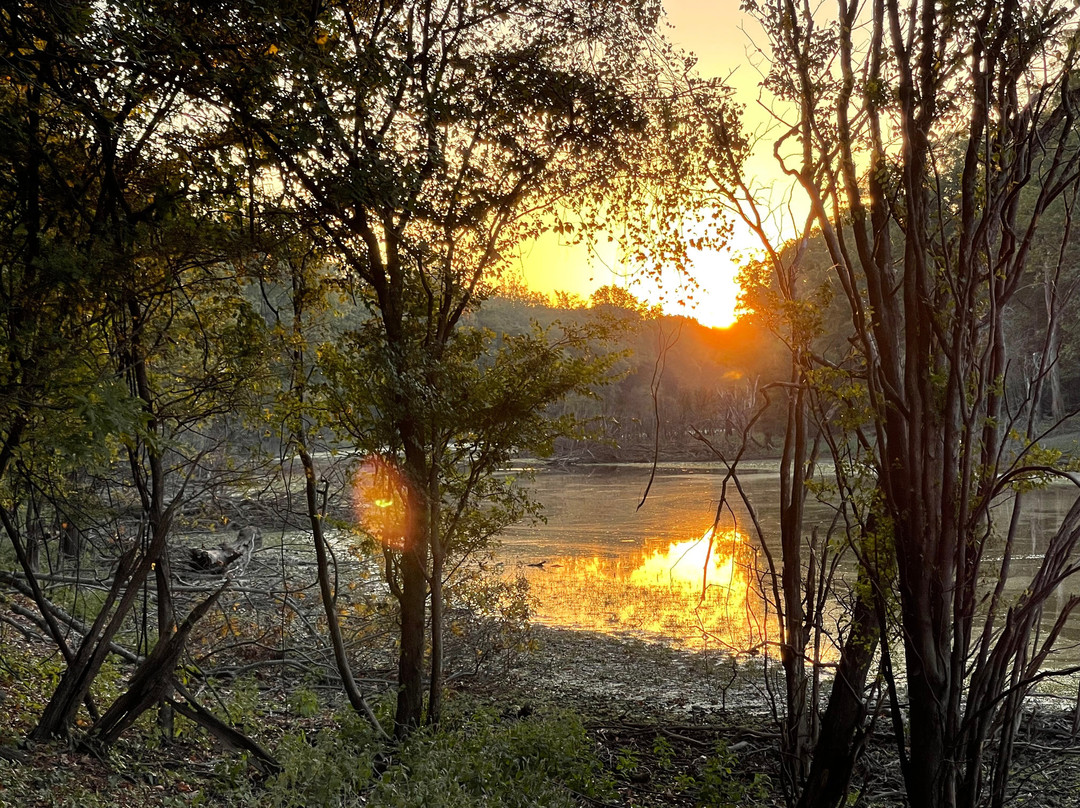 White River National Wildlife Refuge-Saint Charles必去景点