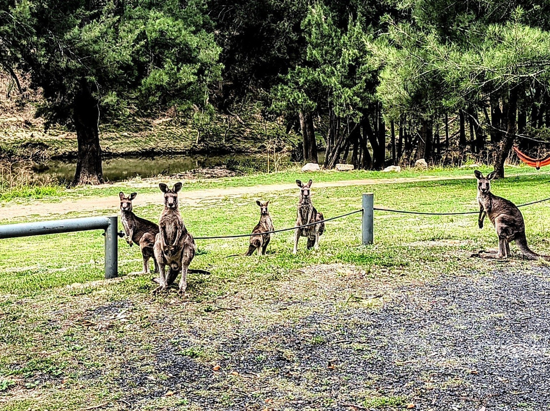 Abercrombie River National Park景点图片