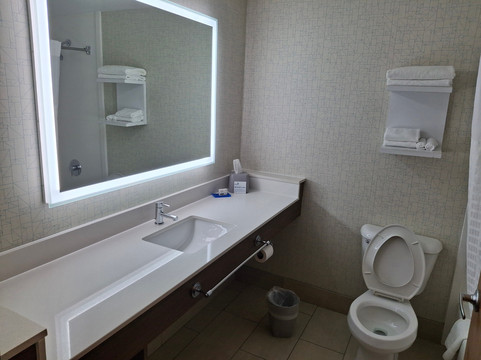 Holiday Inn Express 亚特兰大的石头山主图