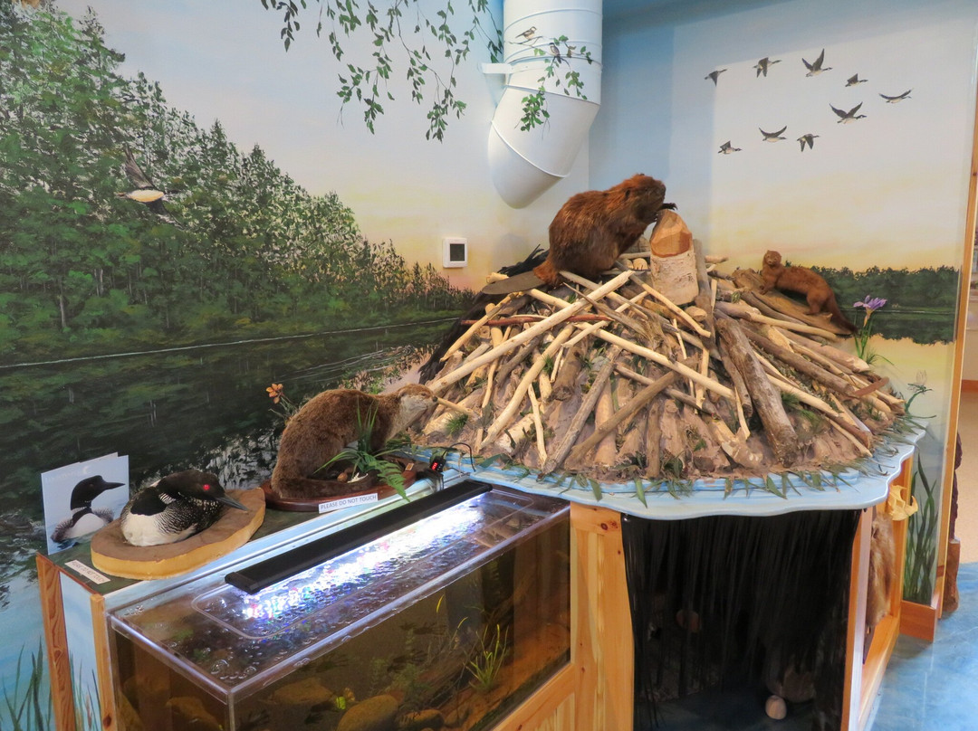 North Lakeland Discovery Center景点图片