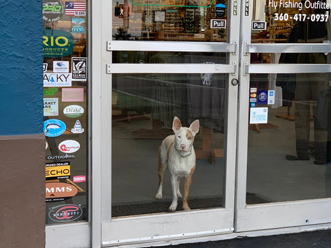 Waters West-安吉利斯港必去景点