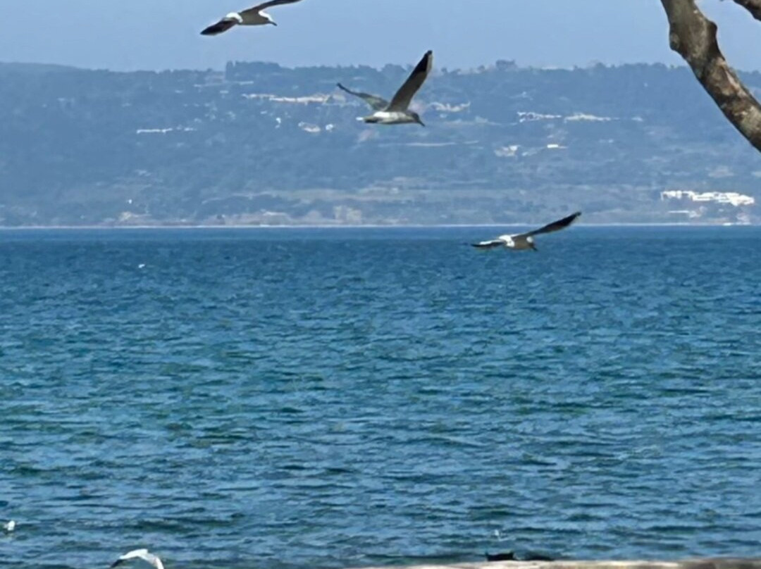 Canakkale Truva Heykeli景点图片