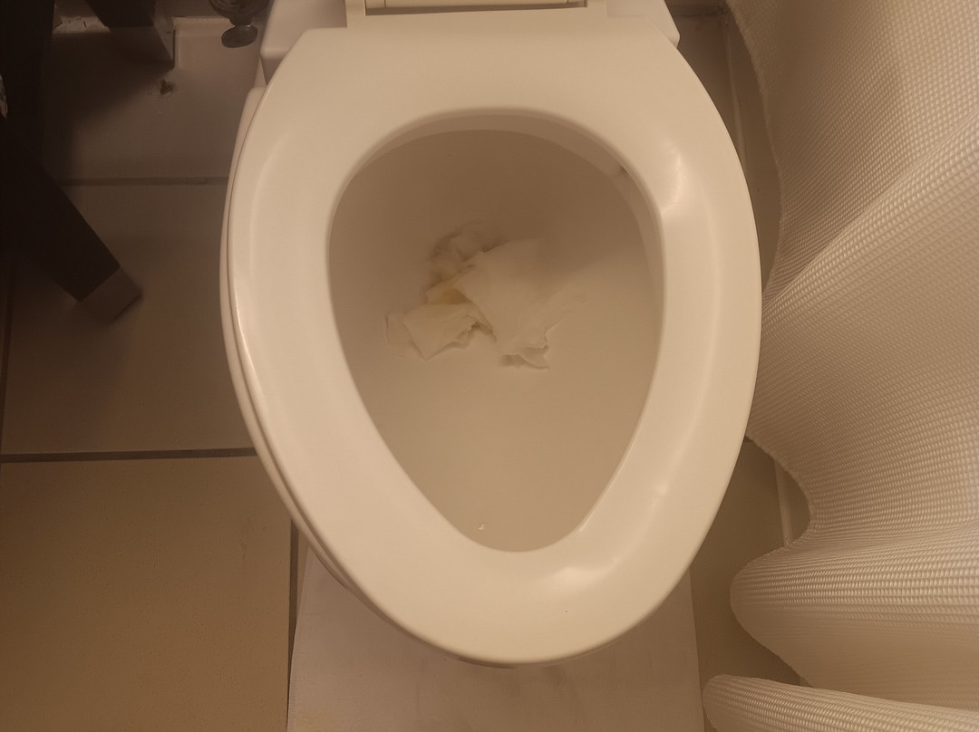 Best Western Plus The Charles Hotel主图