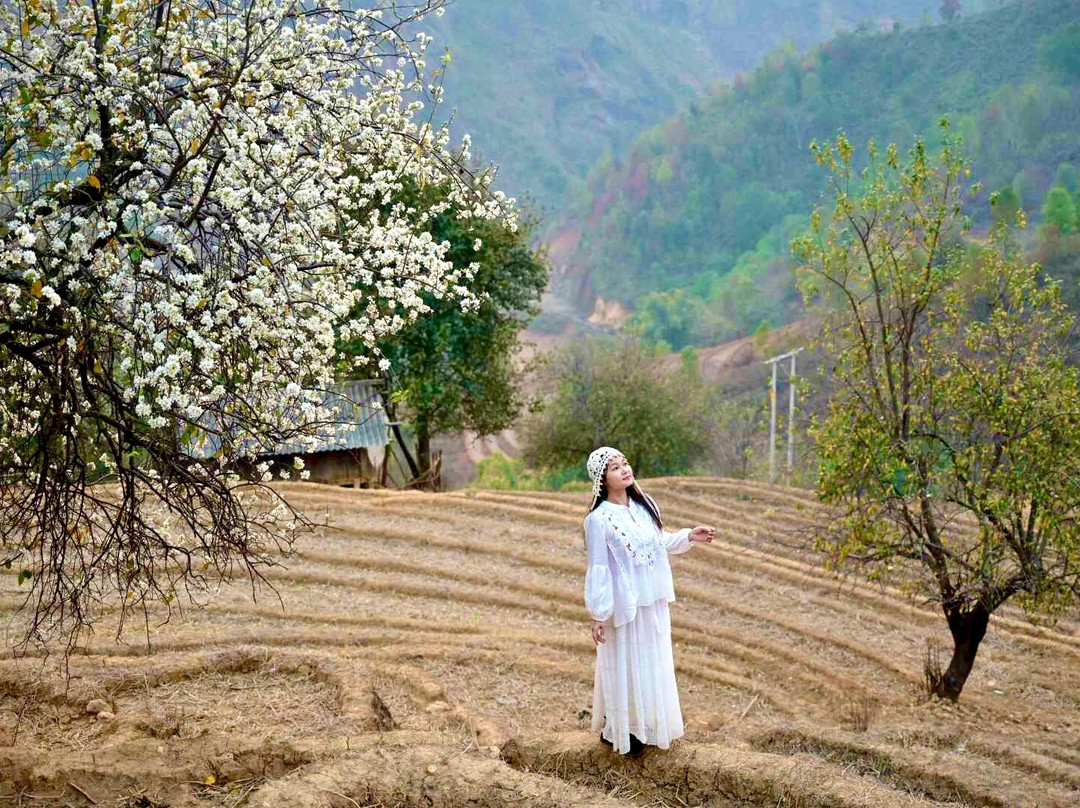 Bản Nậm Nghiệp景点图片