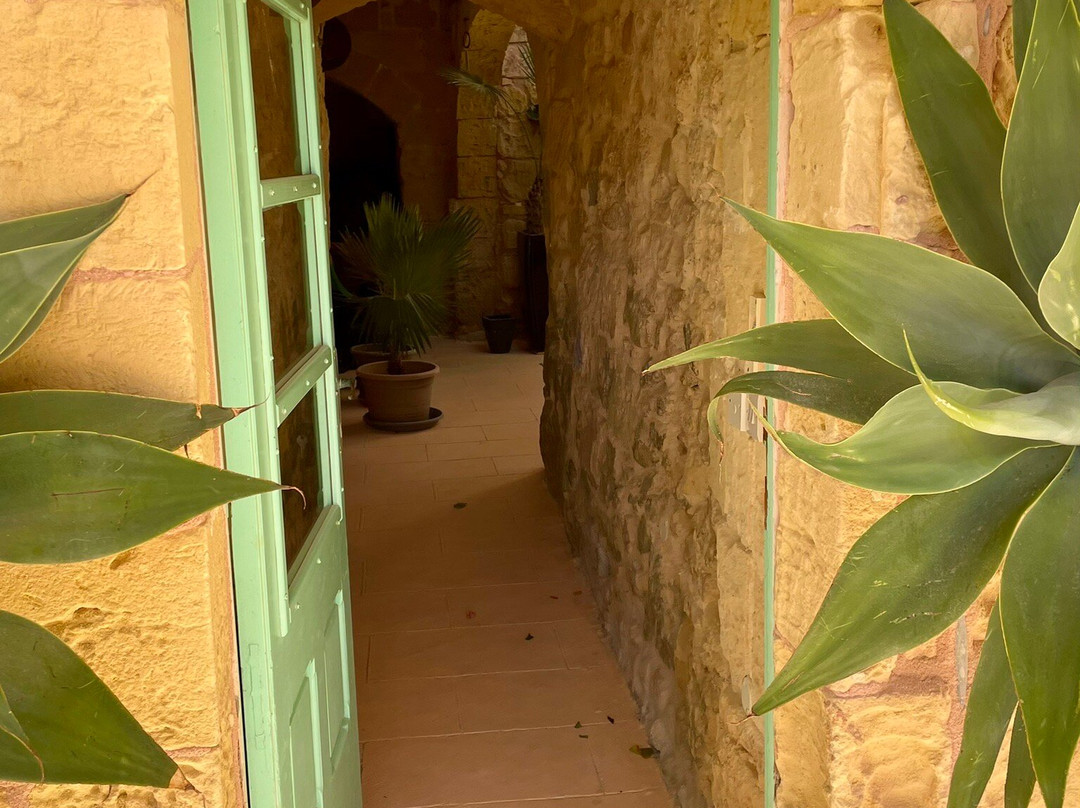 Thirtyseven Gozo主图