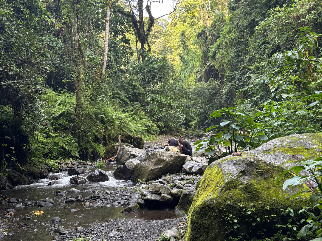 Mount Meru Waterfall-阿鲁沙必去景点