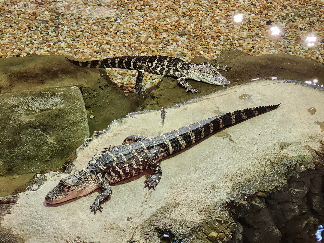 奥兰多科学中心-奥兰多必去景点