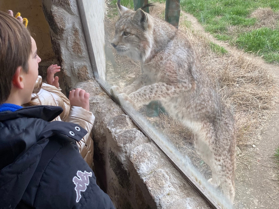 Zoo De Lillo景点图片