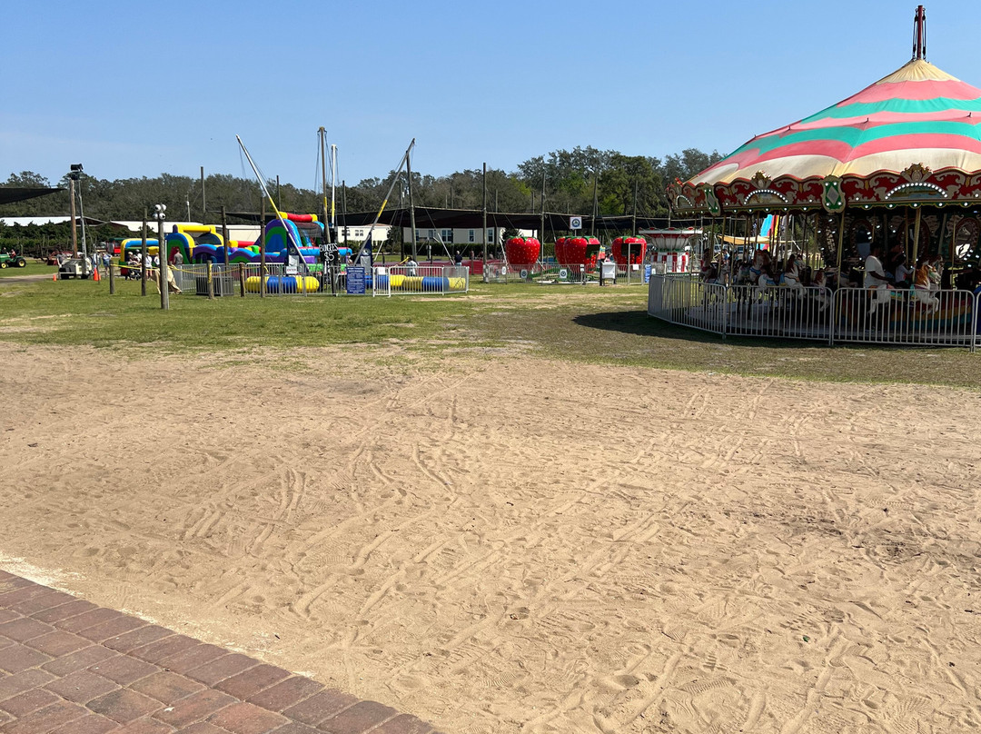 Southern Hill Farms-Clermont必去景点