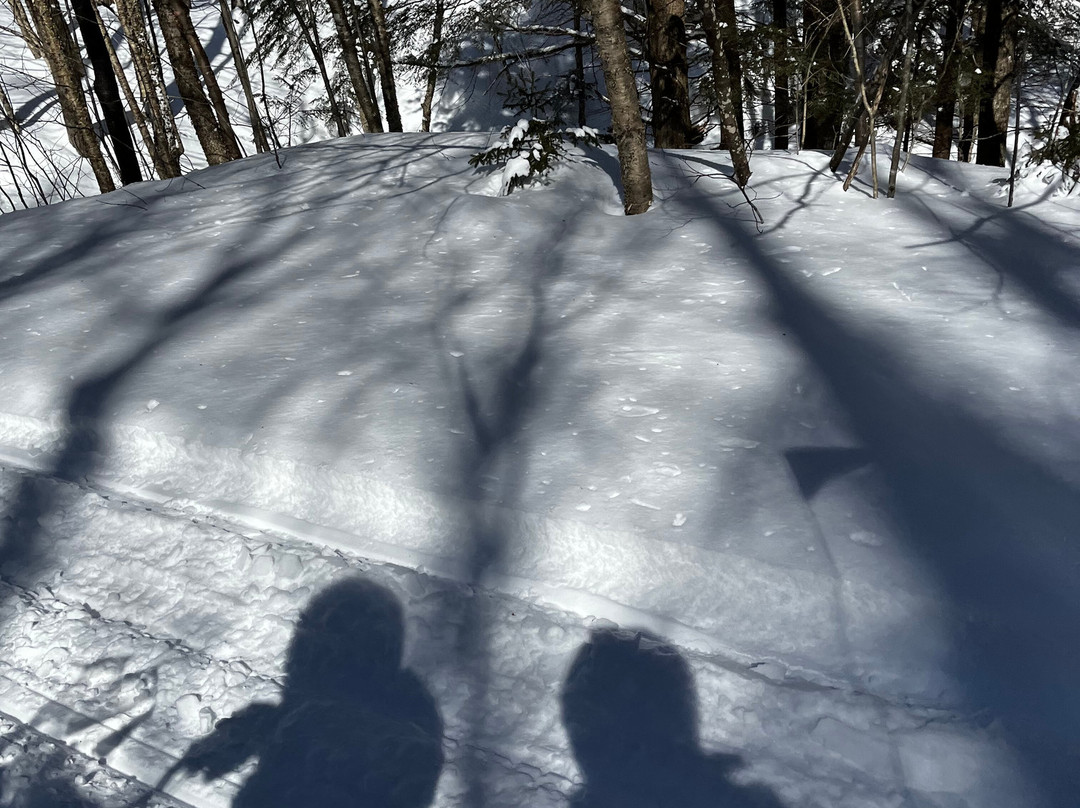 Snowmobile Vermont-斯托必去景点