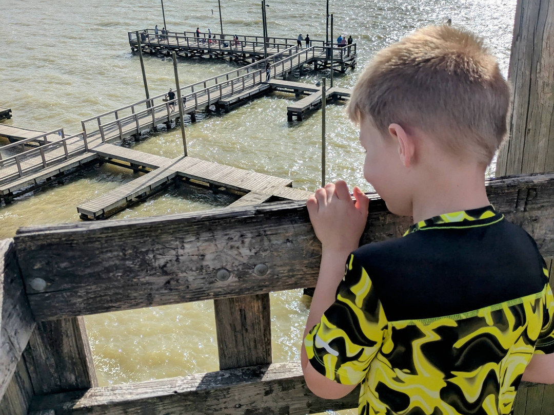 Lake Livingston State Park-利文斯顿必去景点