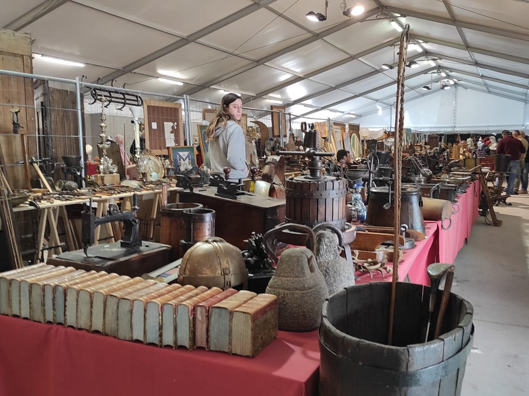 Fiera Millenaria Di Gonzaga景点图片