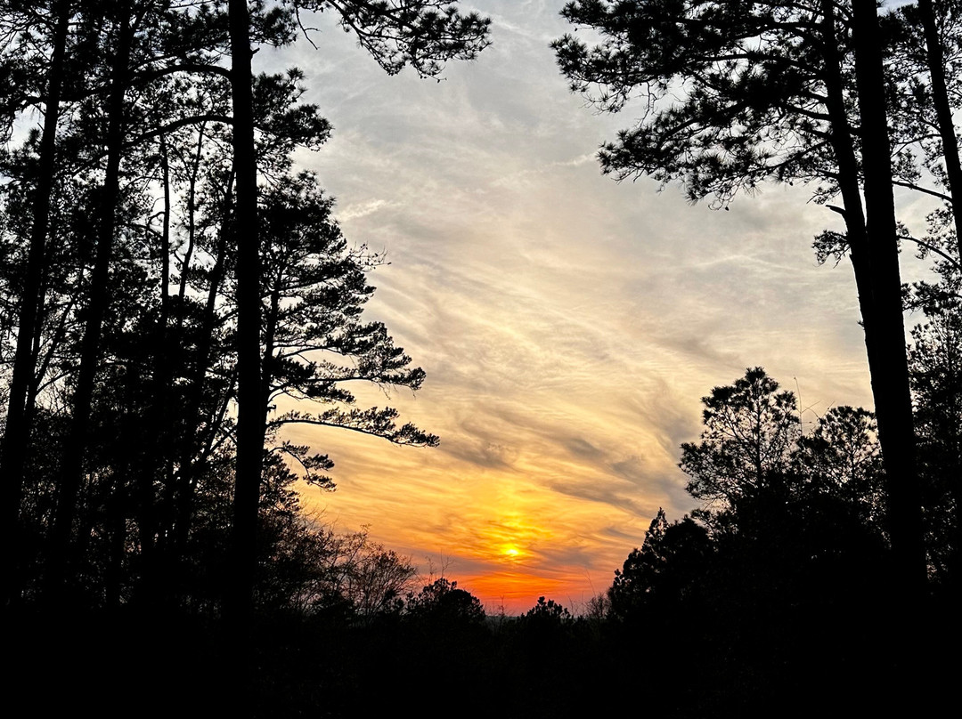 Poinsett State Park-Wedgefield必去景点