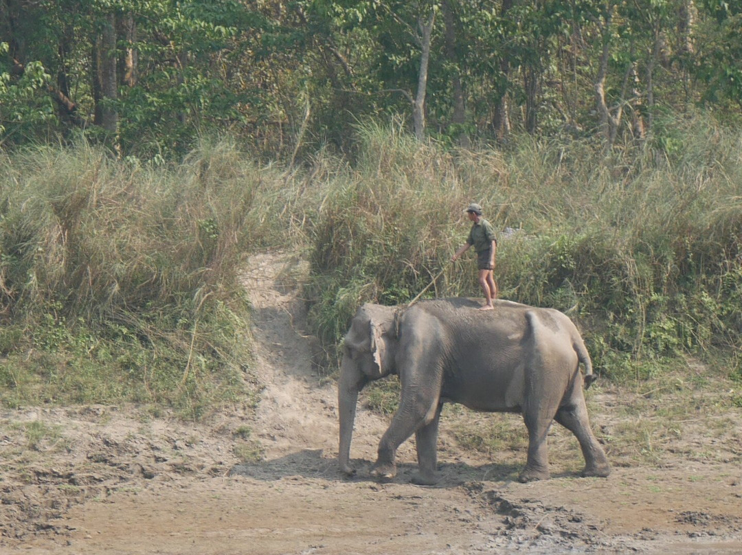 Barauli Community Stay主图