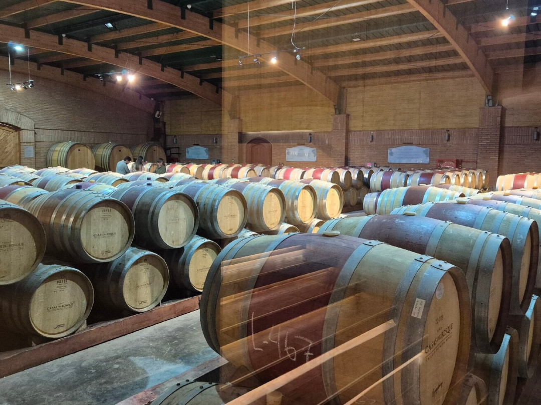 Casas del Bosque-卡萨布兰卡必去景点