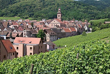 Visit And Tasting, Alsace Wine Route