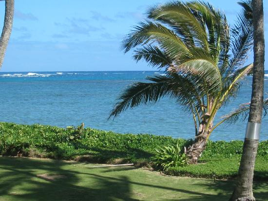 琪琪的天堂主图