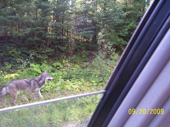 MacArthur House Bed and Breakfast主图