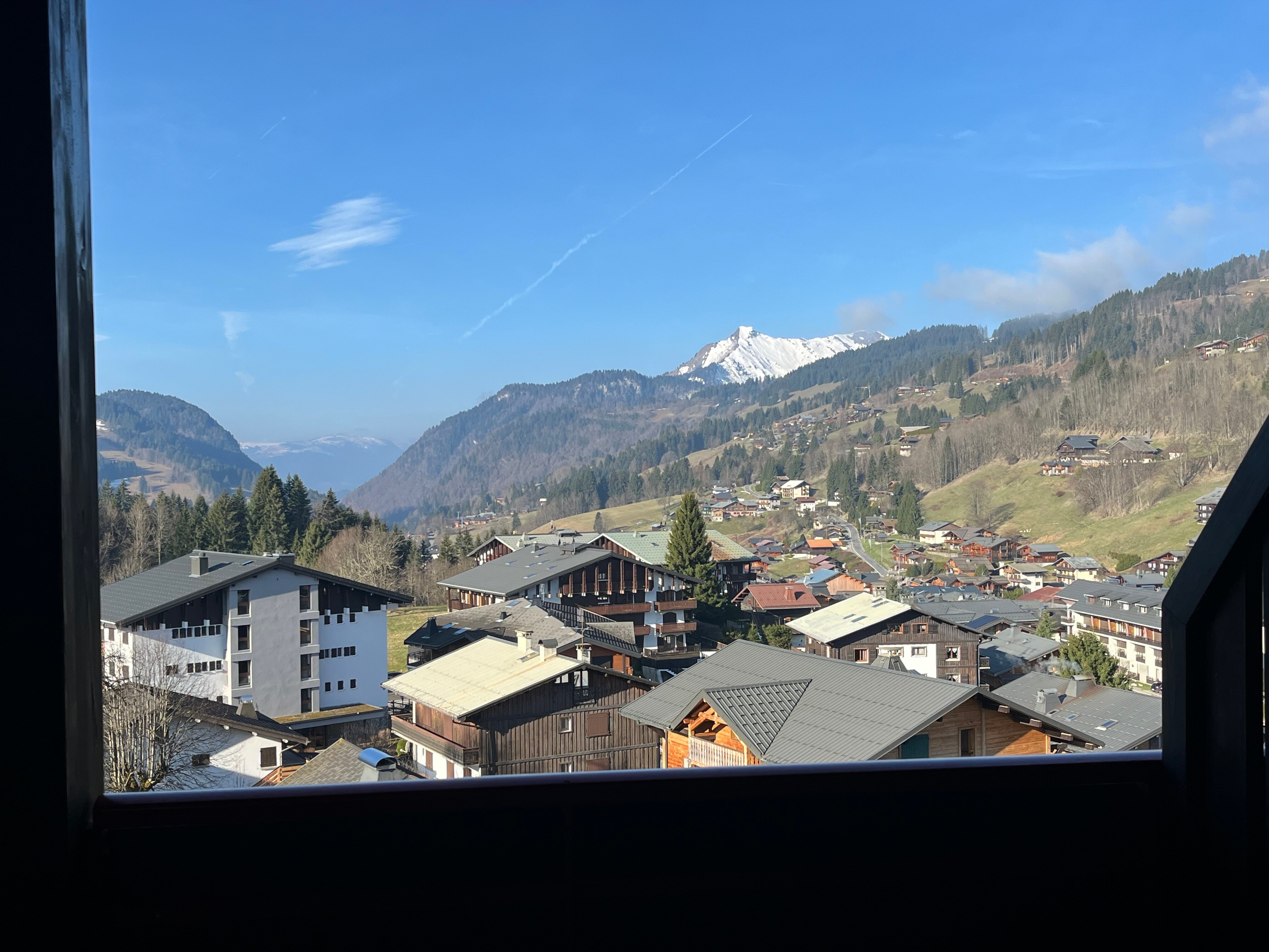 Chalet-Hotel Alpina-官方