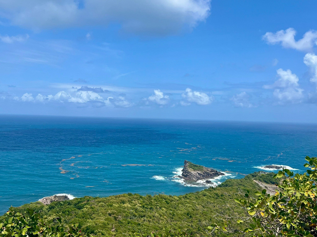 Presqu'ile de la Caravelle-Tartane必去景点