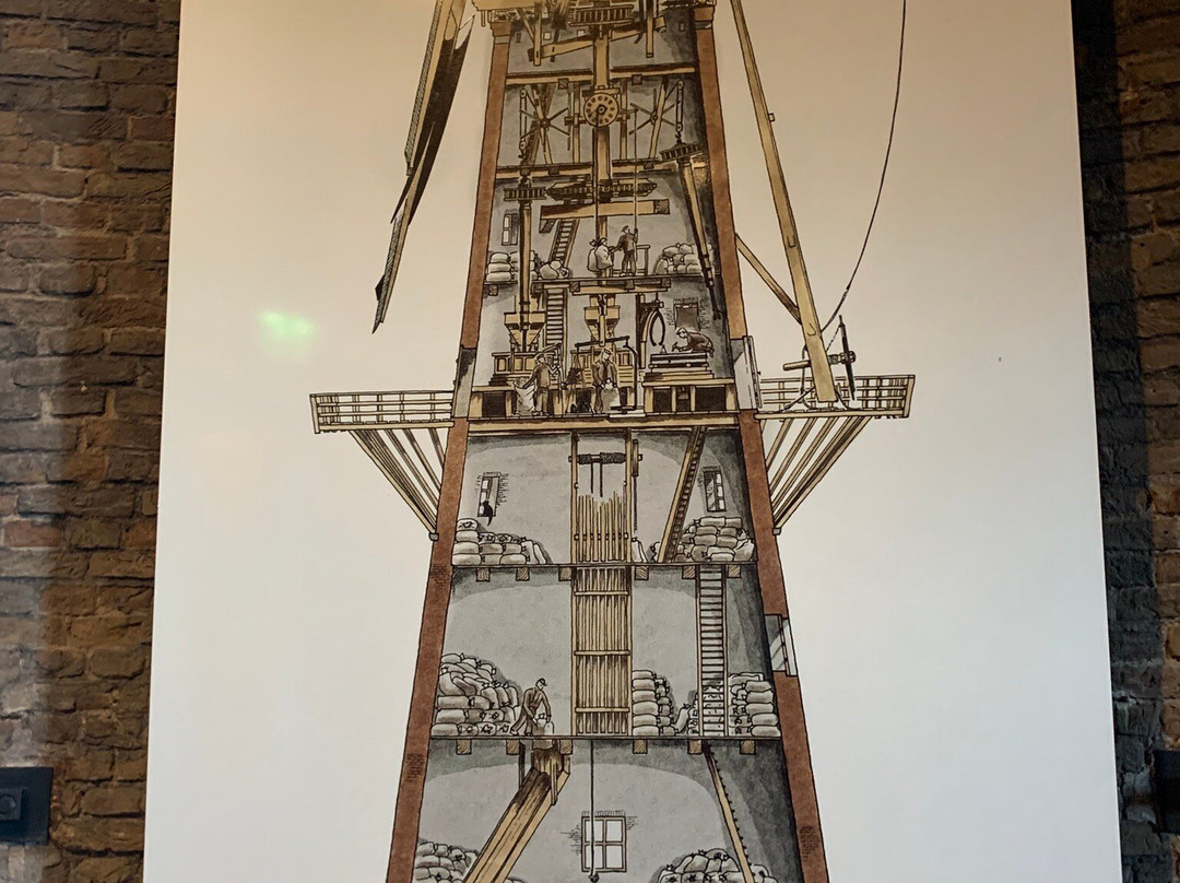Museummolen de Walvisch景点图片