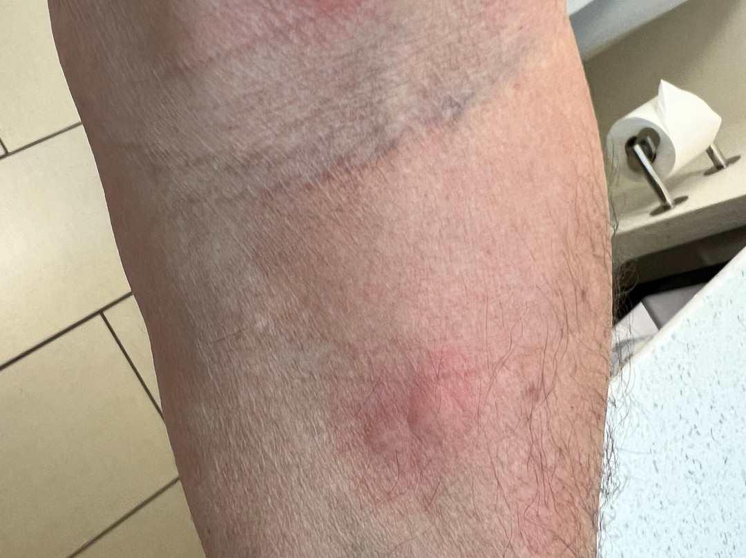 Hampton Inn Jackson/Pearl-Interntional Airport主图