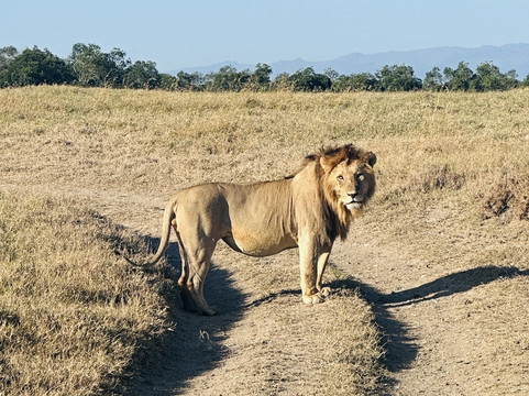 Classic Geo Adventures-内罗毕必去景点