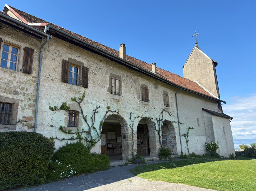 Châteaux des Allinges景点图片