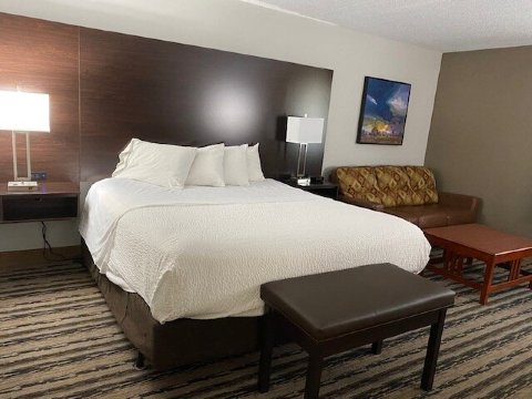 奋进旅馆及套房, 璀蔓臻选温德姆-客卧