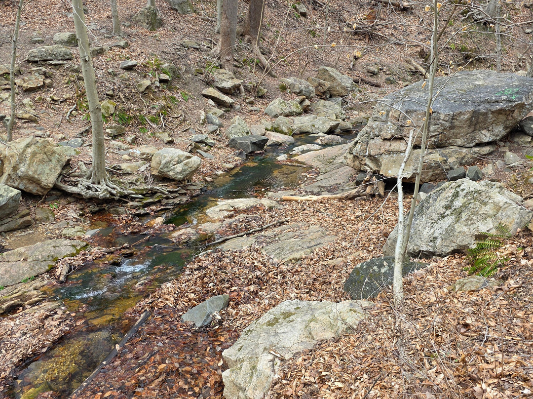 Patapsco Valley State Park-埃利科特城必去景点
