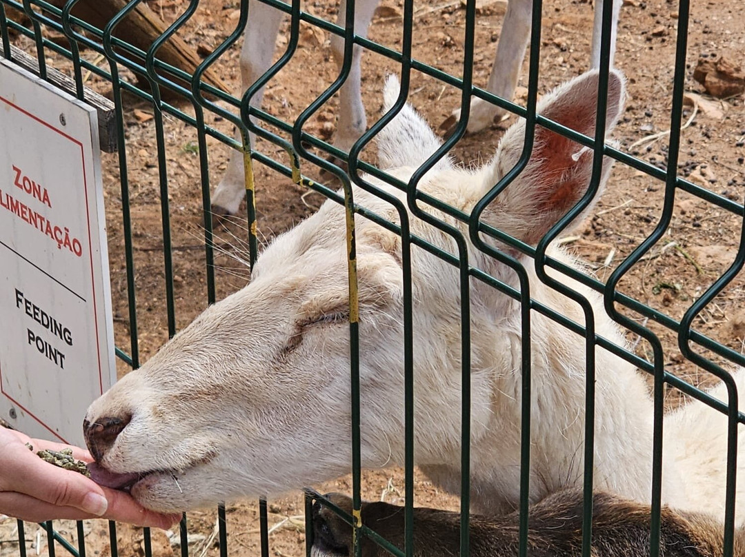 Krazy World Zoo-Algoz必去景点