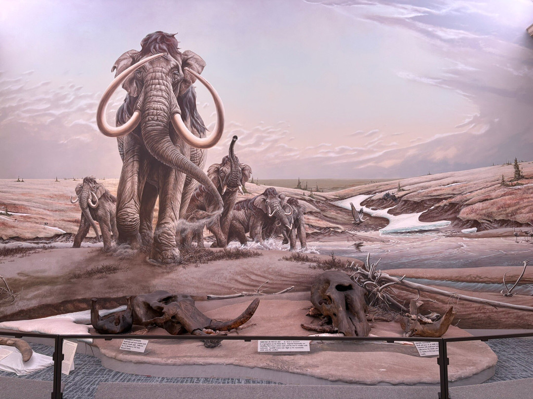 内布拉斯加大学博物馆-林肯必去景点