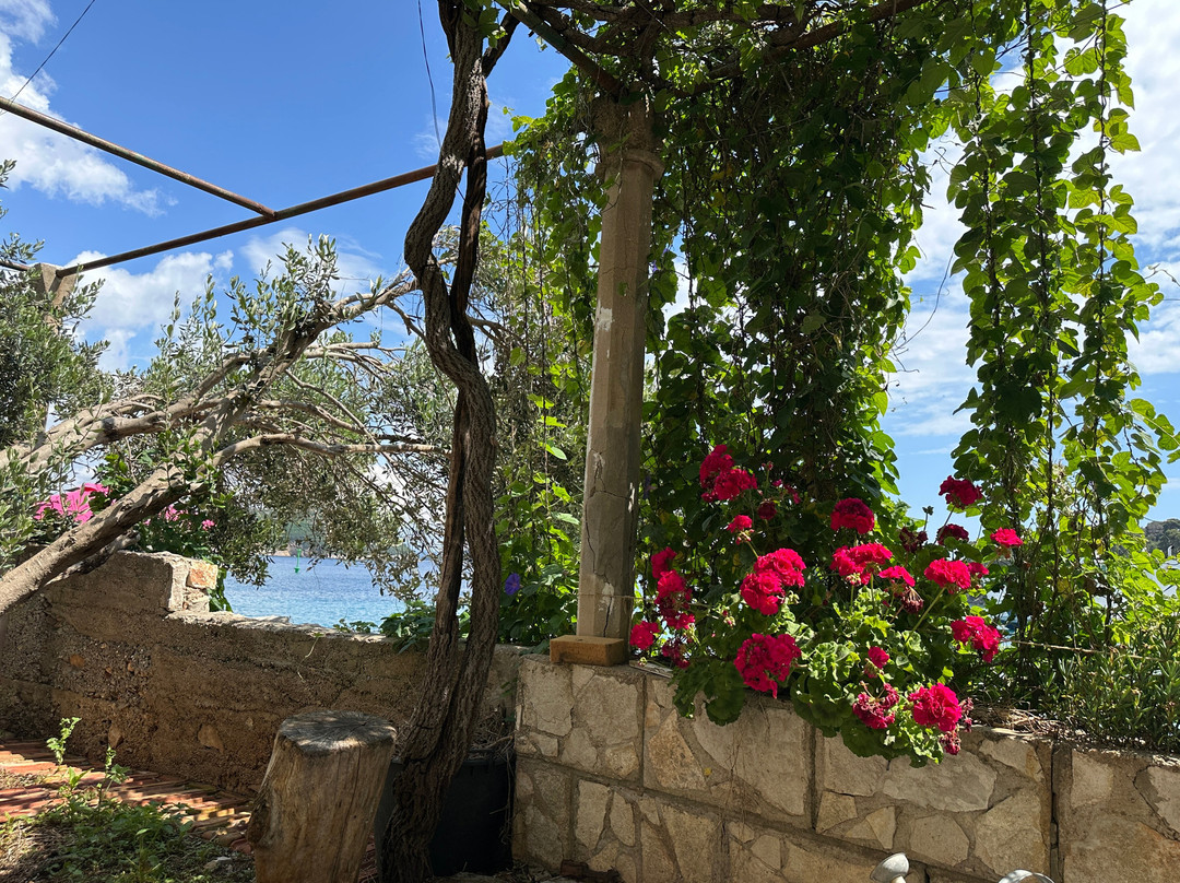 Dubrovnik Boat Tours-杜布罗夫尼克必去景点