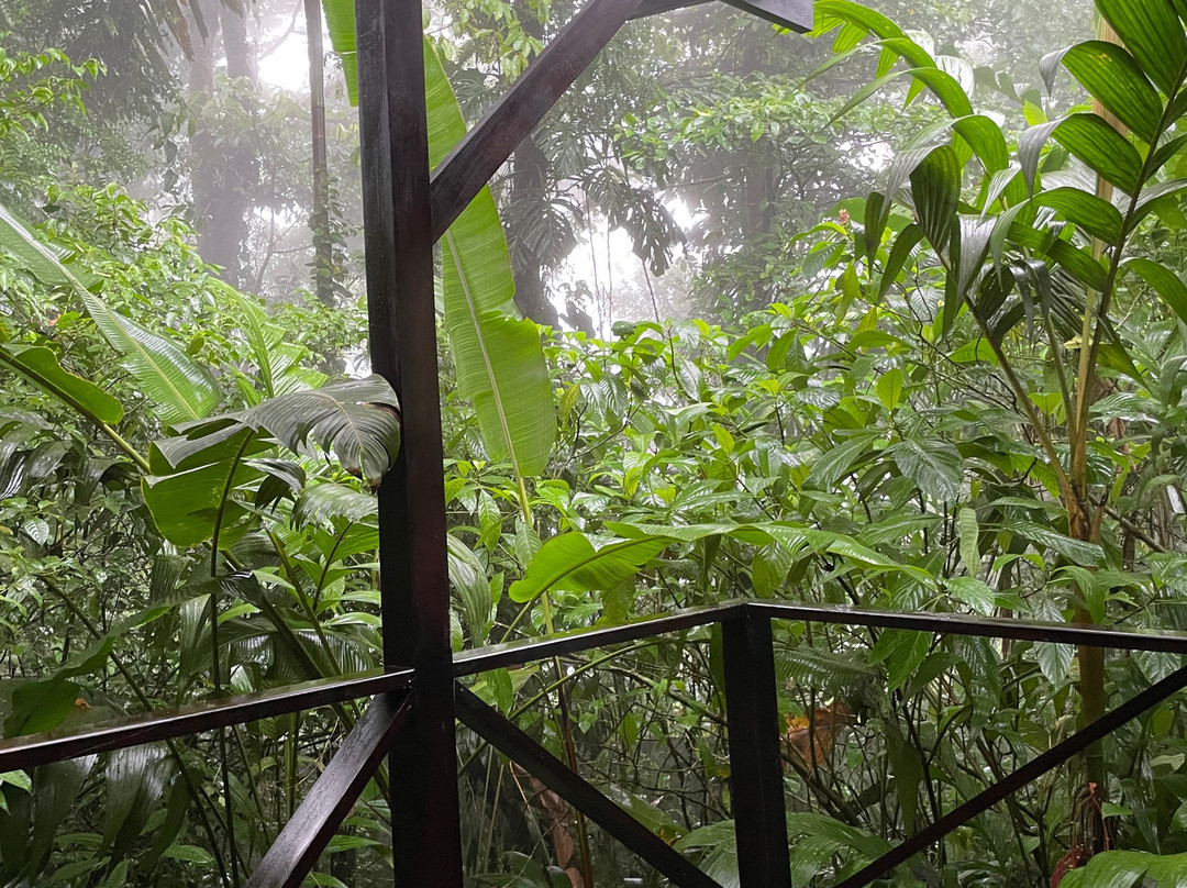 Hideaway Rio Celeste Hotel主图